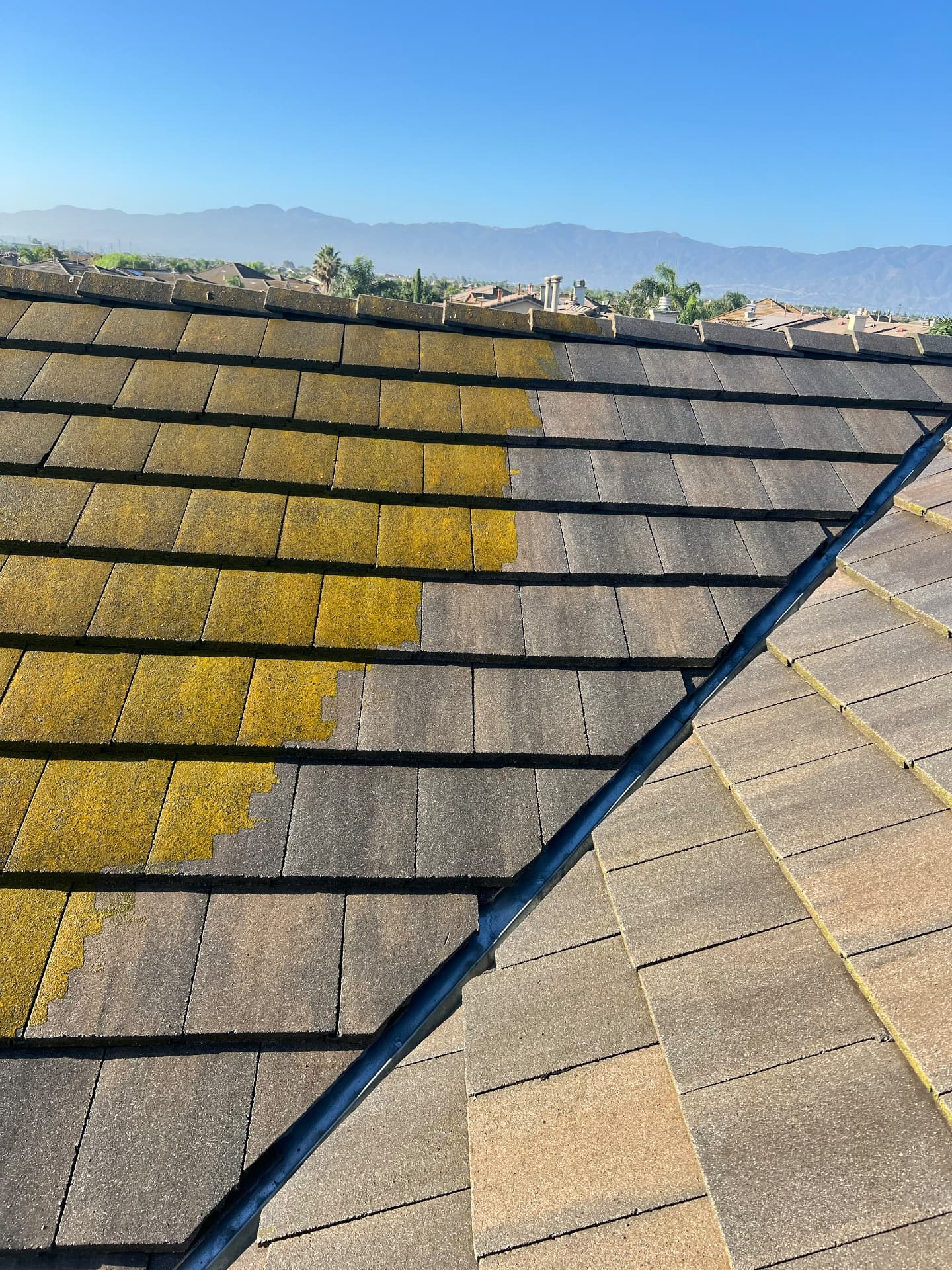 Concrete tile roof partly cleaned, showing algae removal in progress
