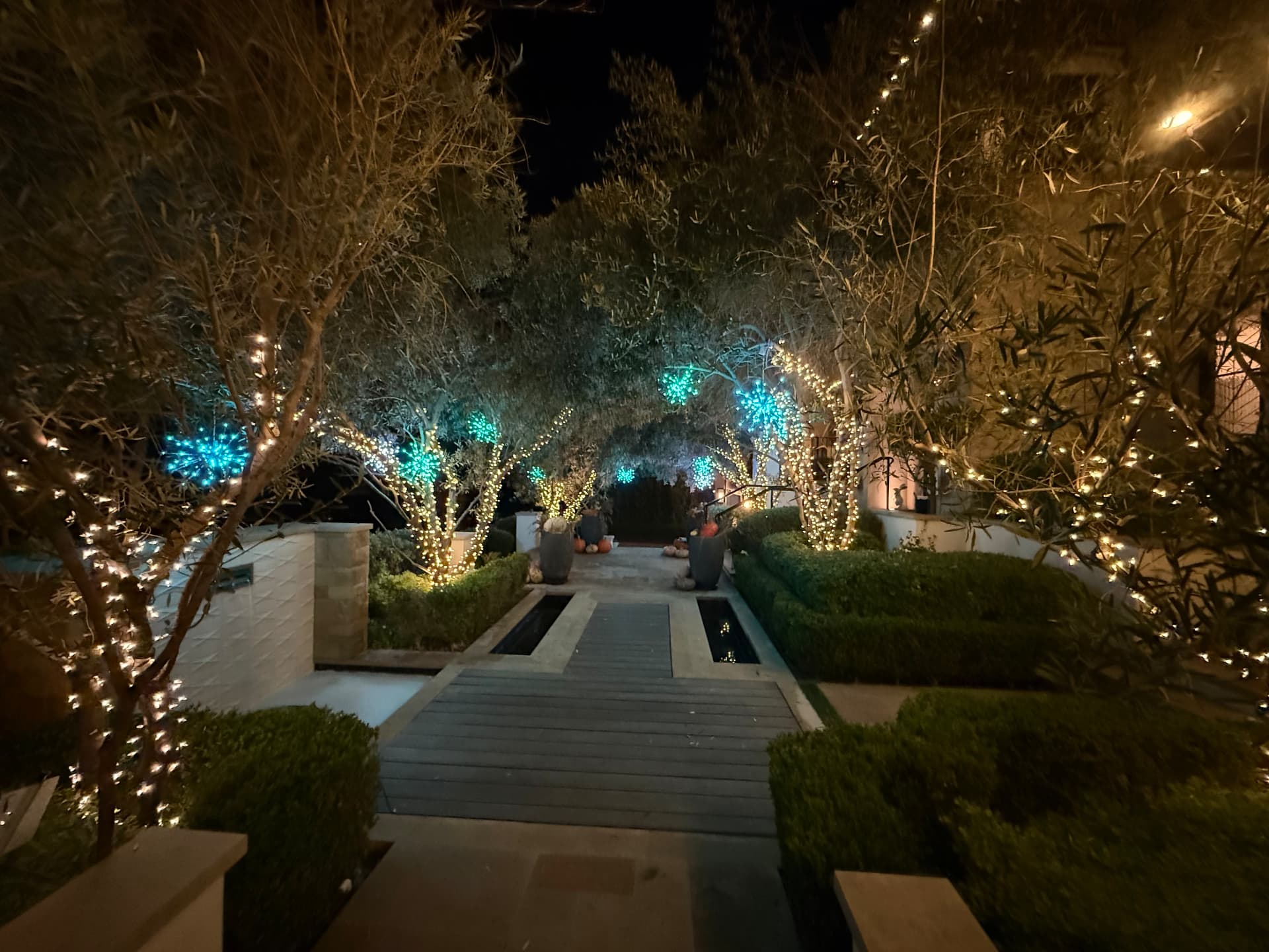 Lit courtyard walkway with wrapped olive trees and teal starburst accents