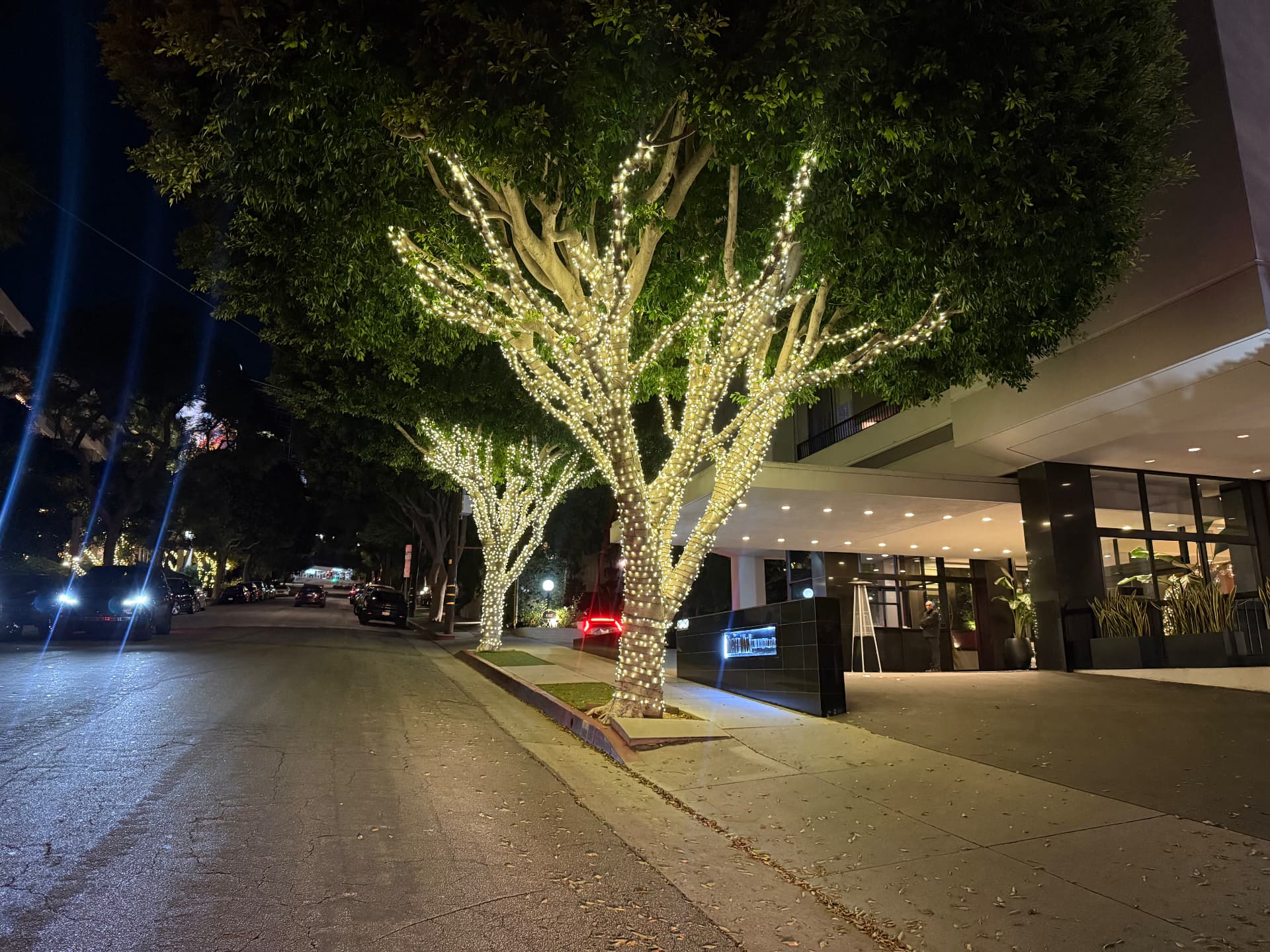 Street trees fully wrapped in warm white lights outside a boutique building
